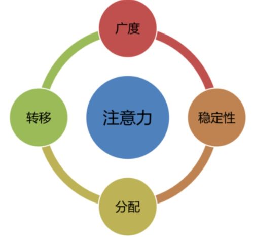 数字文化创意内容 孩子注意力不集中的后天锻炼新路径